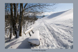 winter in hirzel switzerland <BR> winteIMG_9185_20081123_Resized.jpg