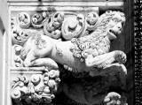 mensola di balcone scolpita a Palazzo Nicolaci 7.jpg