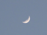 02-01-09 - Blue Moon