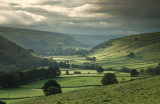 Littondale DSC_5475