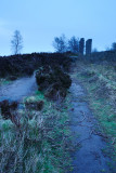 Two Stoops In Morning Mist 09_DSC_0408
