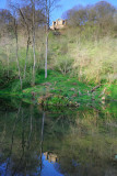 Spring Dawn In Hackfall Woods 09_DSC_0900