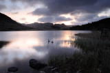 Llynnau Mymbyr 10_DSC_1203