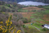 Llyn Gwynant 10_DSC_1964