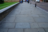 Intruiging, Cambridge 10_DSC_3065