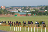 Bury Side Gallops, Newmarket 10_DSC_3237