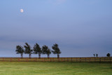 Fittocks Stud, Newmarket 10_DSC_3844