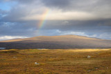 Rainbow over Rannoch Moor  10_DSC_5551