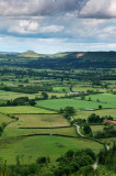 Towards Roseberry Topping DSC_0390