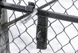 Ice Macro
