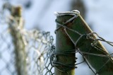 Ice Macro