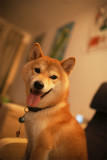 DSC08253v-700.jpg