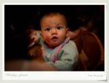 67DSC08497v.jpg