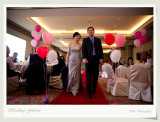 81DSC00445v.jpg