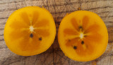 P1090018 Persimmons Inside