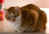 Love that big aperture!