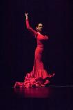 Flamenco-Viva Carlota