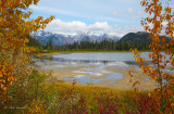 Fall in Banff