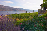 Okanagan Lake #3