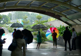 Umbrella Jockeys *