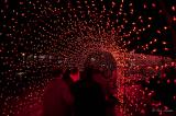 Christmas Lights at the Calgary Zoo