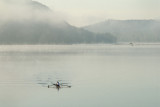 Rowing on the Delaware River
