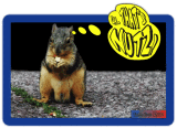 Uh... That's Nutz!