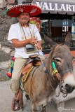 A man and his Burro