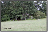 Camo Shed
