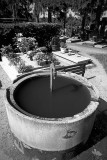 1027_2008-08_F100_PanF50_85.jpg