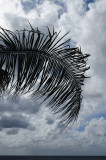 20090329_15-14-08 Hawaii.jpg