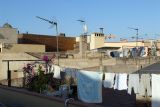 Our roof