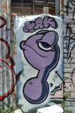 DSC_8682.jpg