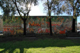 DSC_1169.jpg
