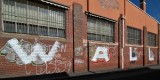 DSC_1300.jpg