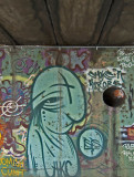 DSC_5515.jpg
