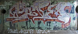 DSC_5516.jpg