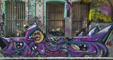 DSC_5921.jpg