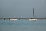 DSC_7366.jpg