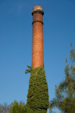 DSC_7156.jpg