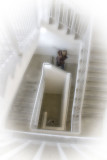 down-the-up-staircase.jpg