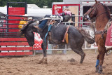 rodeo -2241.jpg