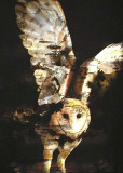 birchbark-owl