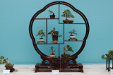 Potted Landscape (5)