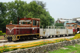 Diesel Locomotive (1)