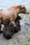 Image019Katmai.jpg