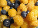 Blue and Gold Berries-- close-up<br />7590