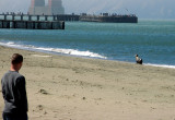 A young sea lion surveys the beach<br />7627