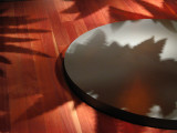 Shadows<br />7726.jpg