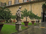 Rainy garden courtyard7964